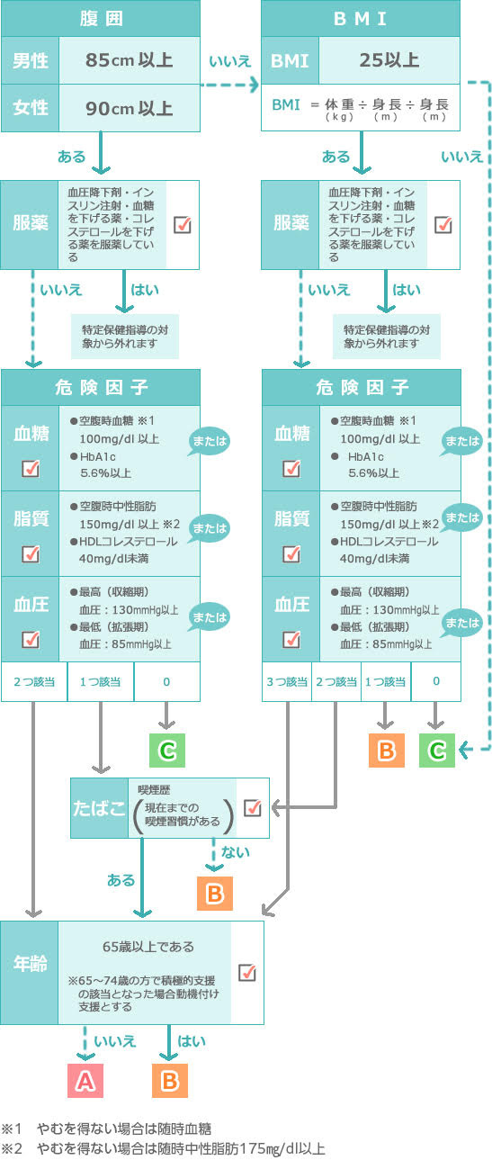 A 積極的支援(生活習慣病リスクが比較的高い方)